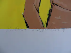 Peter Klashorst - Zeefdruk, My Yellow Princess [groot] kopen? Bied vanaf 50!
