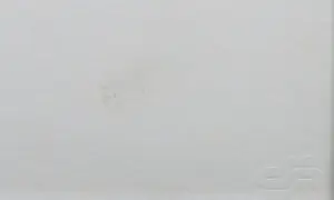 Andy Warhol - Bighorn Ram uit de serie Endangered Species - Ingelijst (Groot) kopen? Bied vanaf 1!