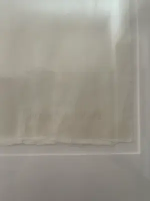 Carola Popma - Onbekend kopen? Bied vanaf 70!