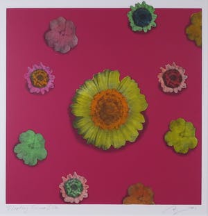 Arjan van Arendonk - Zeefdruk, Floating flowers I - Ingelijst kopen? Bied vanaf 35!
