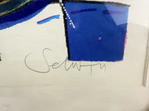 Selwyn Senatori - het voorgerecht kopen? Bied vanaf 30!