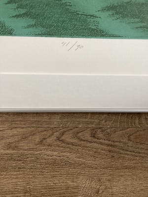 Hans Heijman - Kleurenets ‘ Taal van het rivierenland ‘’ kopen? Bied vanaf 60!