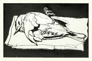 Hans Ebeling Koning - tekening verkocht voor € 50!