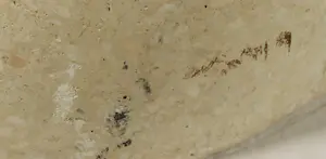 Paul van der Wegen - natuurstenen sculptuur, Tors (Zwaar!) kopen? Bied vanaf 1!