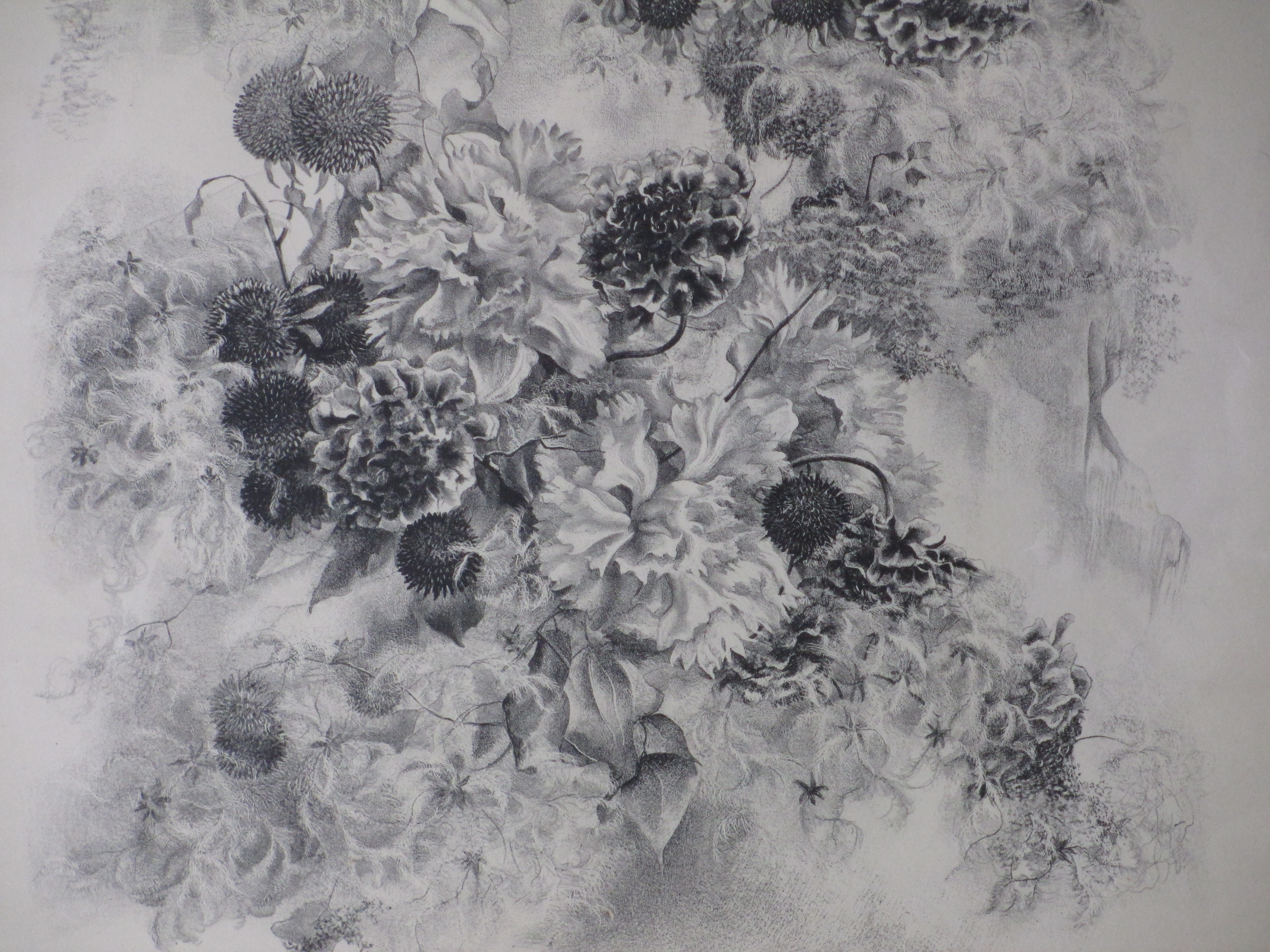 Aart van Dobbenburgh - Distels in landschap - Litho kopen? Bied vanaf 1!