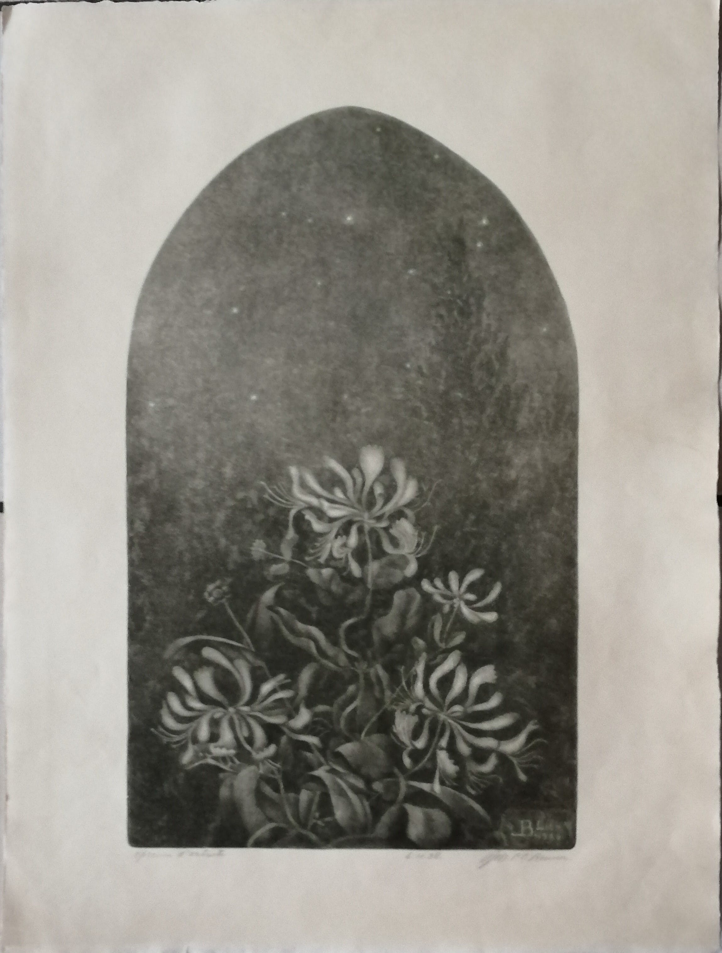 Johan Philip Christiaan Benner - Orchideeën in de nacht kopen? Bied vanaf 25!