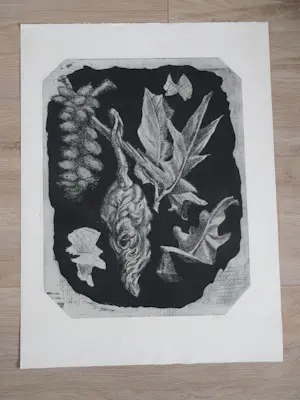 Ko Prange - Bijzondere vegetatie - Ets kopen? Bied vanaf 45!