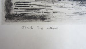 Hans van Dokkum - Ets met kip kopen? Bied vanaf 10!