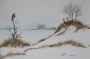 Ari Stolk - Buizerd en reeën kopen? Bied vanaf 45!