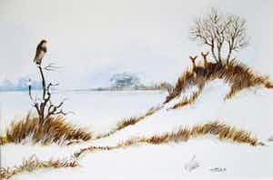 Ari Stolk - Buizerd en reeën verkocht voor € 45!