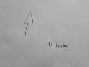 Wim Izaks - Olieverf op papier - Vrije compositie - Handgesigneerd !!! kopen? Bied vanaf 175!