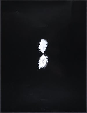 Henk Peeters - Zeefdruk, Het Veertje (inclusief veertje) kopen? Bied vanaf 250!