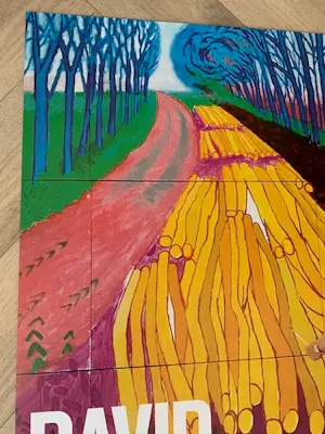 David Hockney - a bigger picture. Hand gesigneerd! kopen? Bied vanaf 500!