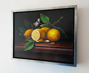 Buy Alfonso Moreno - Citroenen? Bid from 145!