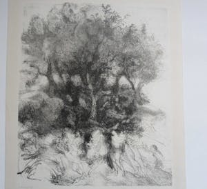 Jaap Kruijff - Litho, titel, Baadsters kopen? Bied vanaf 25!