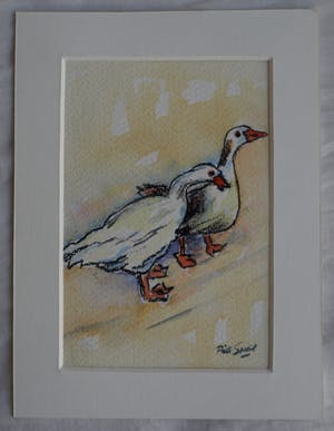 Piet Snel - 2x Aquarel , Ganzen kopen? Bied vanaf 35!