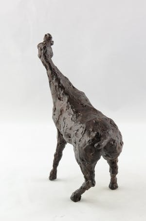 Annette Koek - Brons, Paard kopen? Bied vanaf 350!