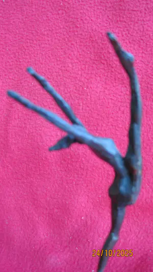 Corry Ammerlaan - Stap naar de toekomst kopen? Bied vanaf 35!