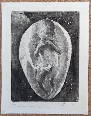 Willem Snitker - Foetus, aquatint ets kopen? Bied vanaf 40!