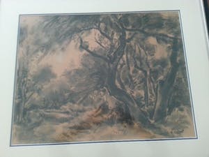 Arnout Colnot - Bergerbos kopen? Bied vanaf 275!