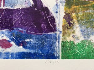 Lia van Leeuwen - Kleurenets | 'Visere' | 2002 kopen? Bied vanaf 40!