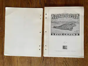 Various Artists Books - Artists' Stamps and Stamp Images - Jas. W Felter, Donald Evans, Fluxus Mail Art kopen? Bied vanaf 50!