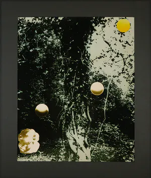 Ruud Aarbodem - Fotomontage, Zonnen kopen? Bied vanaf 1!