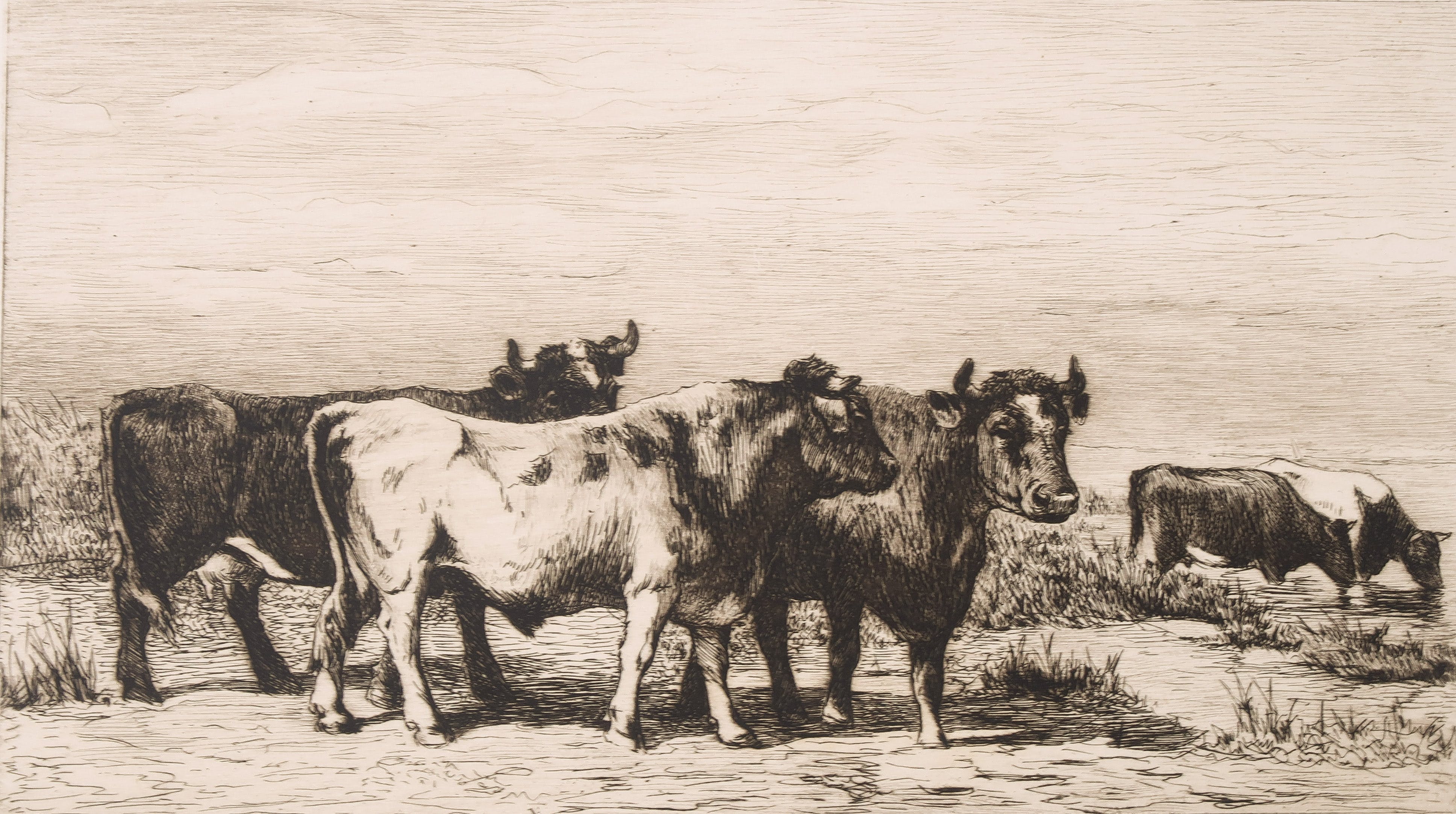 Philip Zilcken - Ets, Landschap met vee, naar schilderij van Jan de Haas kopen? Bied vanaf 1!