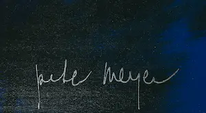 Peter Meijer - Zeefdruk, Manhattan - Ingelijst (Groot) kopen? Bied vanaf 200!