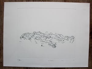 Jaap Hillenius - ets: liggend naakt koppel - 1970 kopen? Bied vanaf 65!