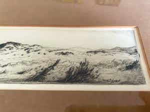 Johannes Graadt van Roggen - Duinlandschap verkocht voor € 35!