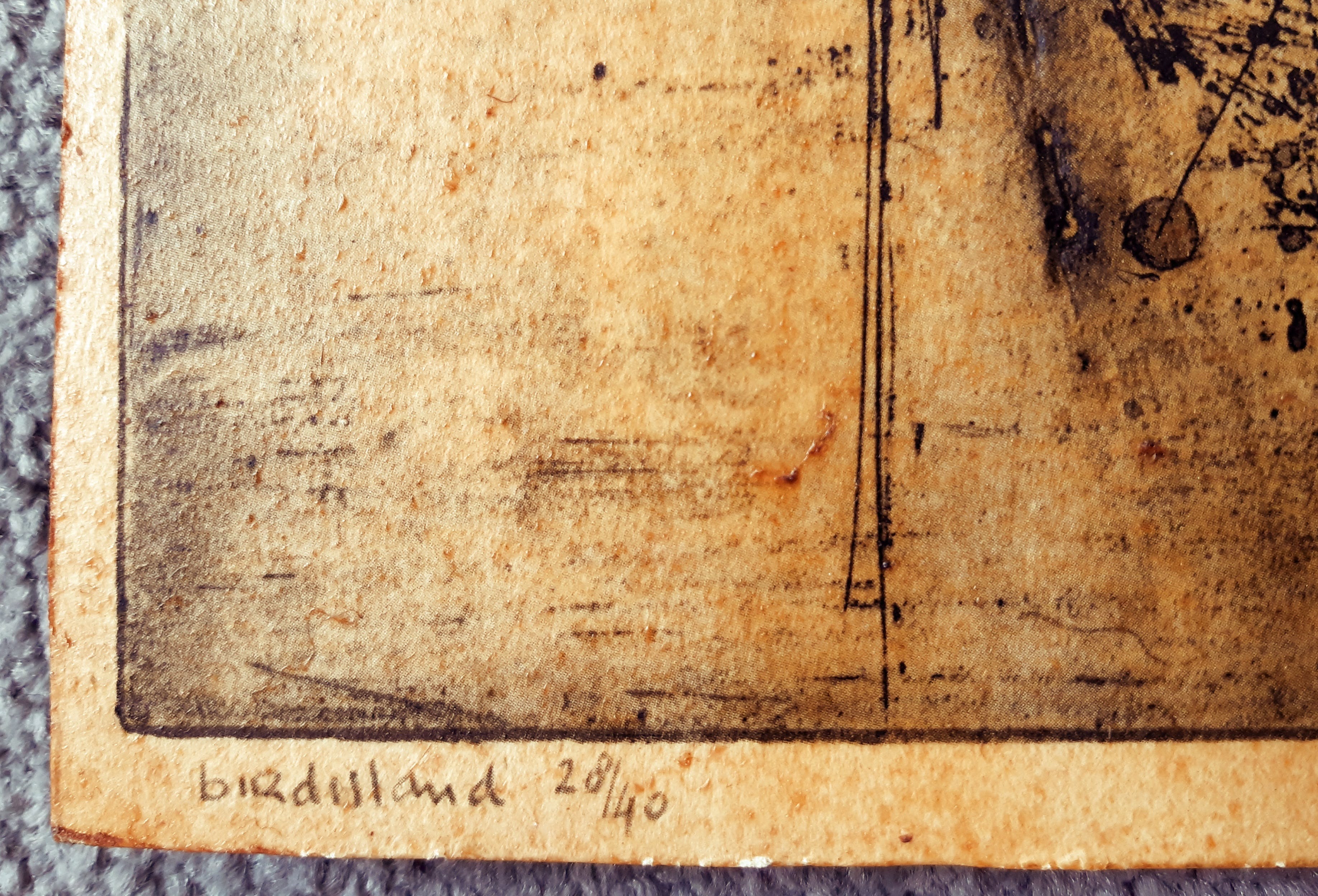 Ru van Rossem - Birdland kopen? Bied vanaf 1!