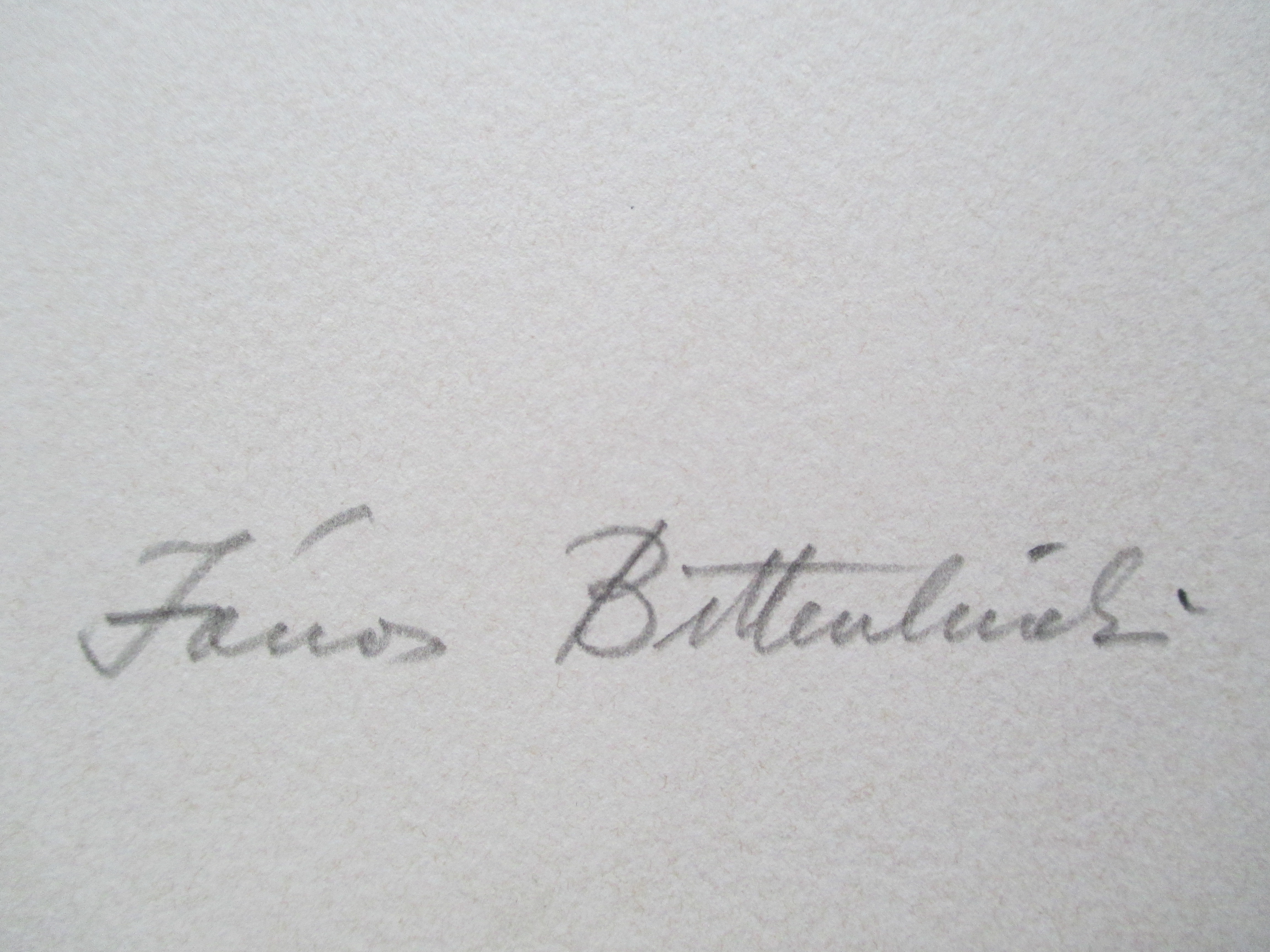 Janos Bittenbinder - Litho "Idök" kopen? Bied vanaf 20!