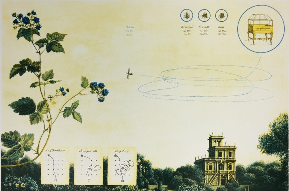 Wouter Hisschemoller (1965)