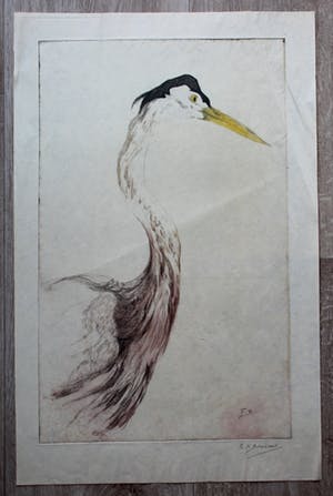 Frederika Broeksmit - Ets: Vogel kopen? Bied vanaf 30!