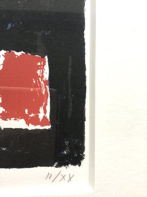 Harrie Gerritz - Zeefdruk, gesigneerd ,bijzondere oplage 11/XX, professioneel gelijst kopen? Bied vanaf 45!