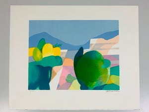 Freddy Defossez - Hauts de mougins kopen? Bied vanaf 25!