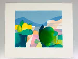 Freddy Defossez - Hauts de mougins verkocht voor € 25!