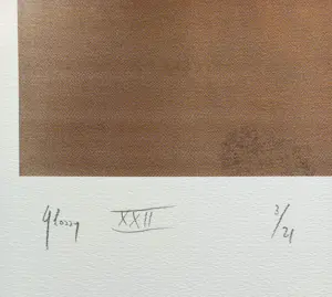 Rob Scholte - Glossy XXII, piëzografie (groot, kleine oplage) kopen? Bied vanaf 350!