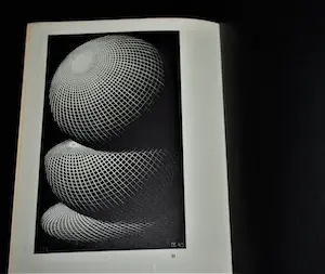 M.C. Escher - zeldzame catalogus 1954 Stedelijk Museum nr.118 - & ingelijst werk uit 1970 - kopen? Bied vanaf 175!