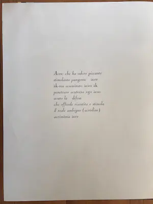 Luigi Boille - Gesigneerde Litho - 'ACRE' - 37/100 - 1971 kopen? Bied vanaf 95!