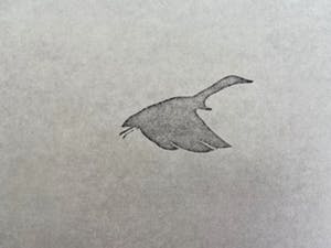 Colette Meltzer-Haesaerts - Touring High kopen? Bied vanaf 5!