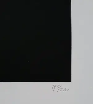 Harry van Kuyk - Contour, zeefdruk kopen? Bied vanaf 50!