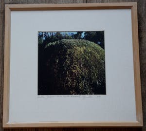 Margriet Smulders - ingelijste foto: Sevilla, Jardines de las Reales Alcasares - 1993/1994 kopen? Bied vanaf 145!