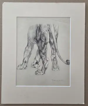 Herbert van der Poll - Leeuw. Litho. kaufen? Bieten Sie von 44!