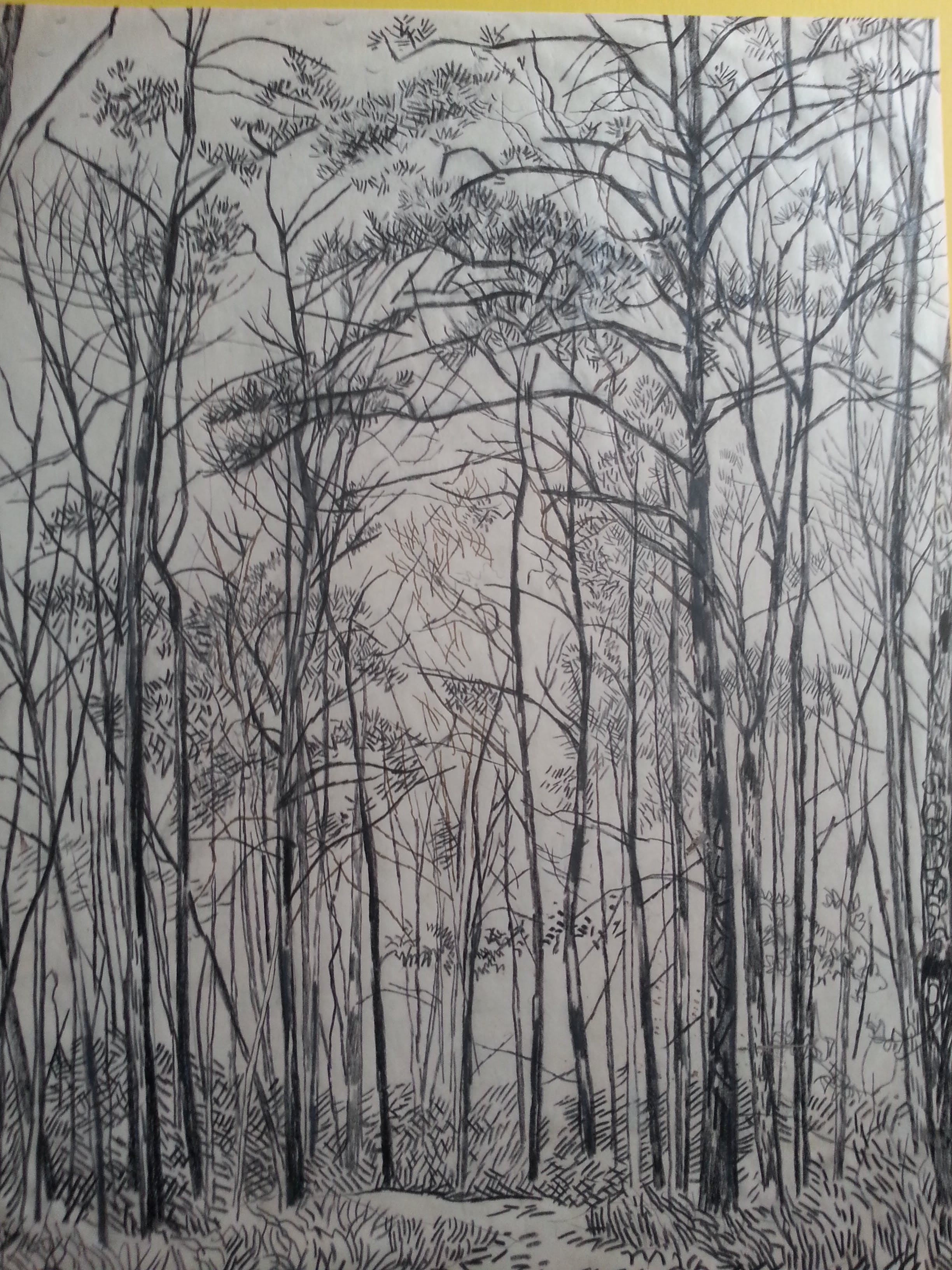 Herman Bieling - Bos - 1960 verkocht voor € 40!