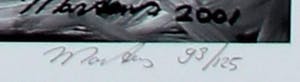 Berry Martens - Offset Litho(grafiek) - 2001 kopen? Bied vanaf 29!