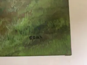 Simon Sint - Plassenlandschap kopen? Bied vanaf 75!