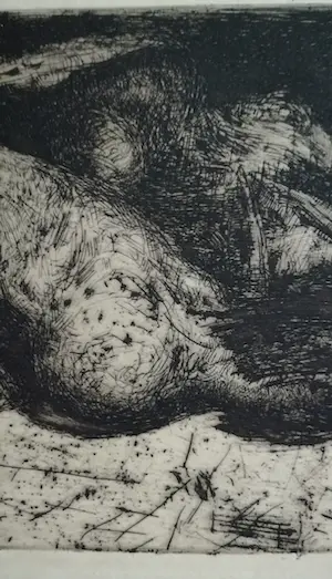 Floris Verster - Twee geplukte hanen kopen? Bied vanaf 60!