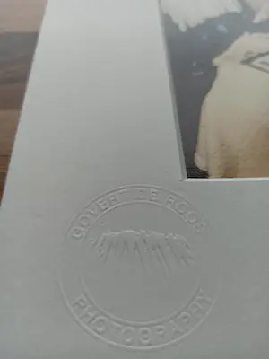 Govert de Roos - Herman Brood en Nina Hagen kopen? Bied vanaf 295!